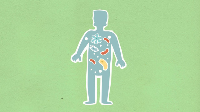 Ilustrasi apa akibatnya jika homeostasis dalam tubuh manusia terganggu. Sumber: pexels.cm/Monstera Production