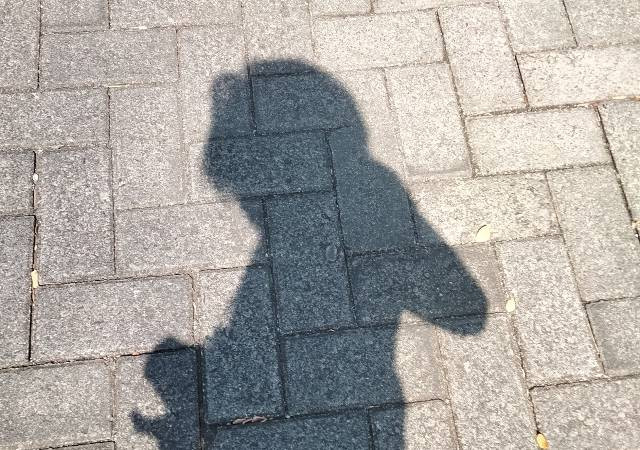 Bayangan masa depan, gambar; dokumen pribadi