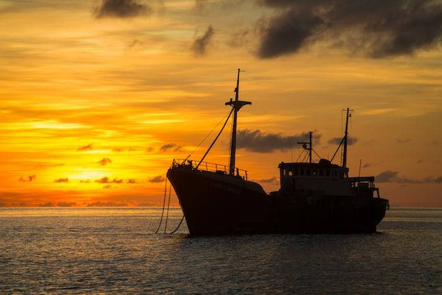 Ilustrasi ucapan Hari Bicara Seperti Bajak Laut. Sumber: unsplash.com/ Christian Lendl