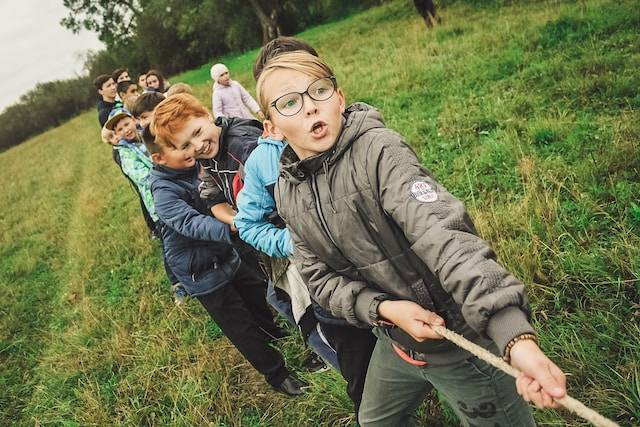 Cara Beli Tiket Hutan Hujan ImersifKu. Foto hanya ilustrasi. Sumber foto: Unsplash/Anna Samoylova