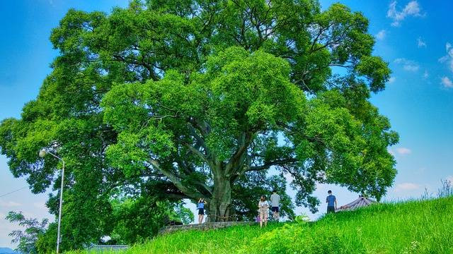 Ilustrasi kata-kata drama Korea Twenty Five Twenty One. Foto: Pixabay.