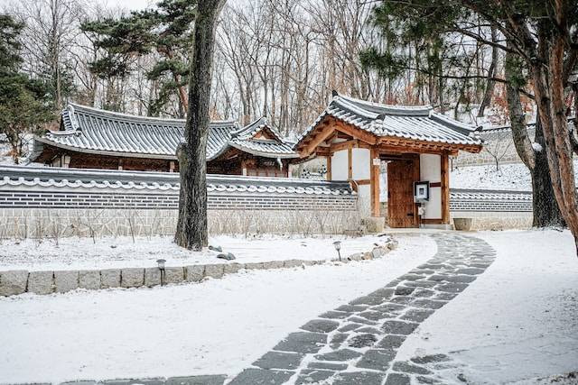 Ilustrasi kata-kata drama Korea My Liberation . Sumber: Unsplash/ SingSing Wade Kim. 