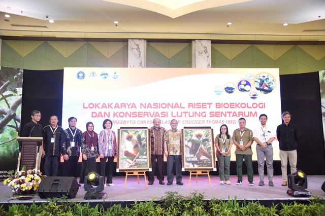 Kolaborasi MBKM Mahasiswa Terlibat Riset Bioekologi & Konservasi Lutung Sentarum