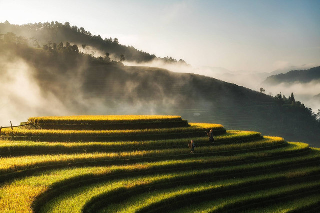 Ilustrasi Agro Wisata adalah, Sumber: Unsplash/Hoach Le Dinh