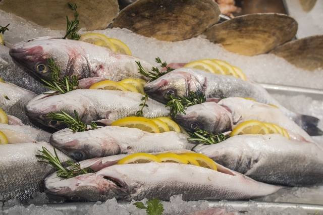 Ilustrasi ciri ciri ikan tuna. Foto: Pixabay