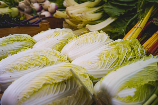 Ilustrasi Cara Memasak Sawi Putih. Unsplash/Meizhi Lang.