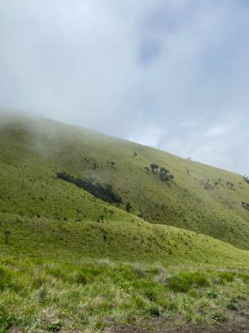 Sabana Gunung Merbabu (Sumber : Pribadi, Minggu 1/10/2023)
