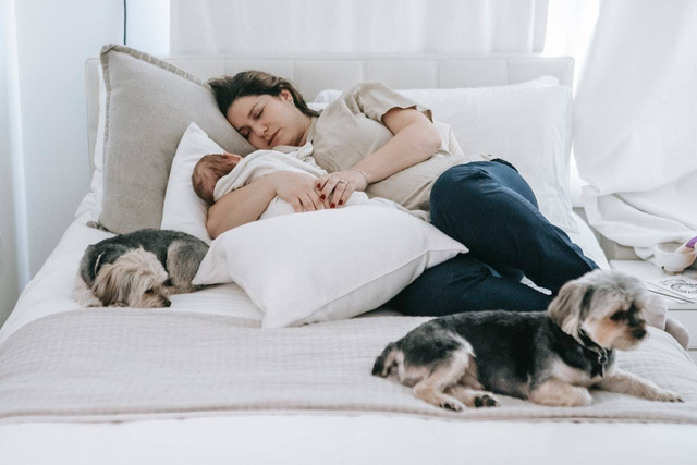 Ilustrasi kenapa anjing suka tidur dekat kita. Sumber: Sarah Chai/pexels.com