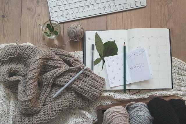 Ilustrasi Needle Punch.  Foto: dok. Unsplash/Giulia Bertelli