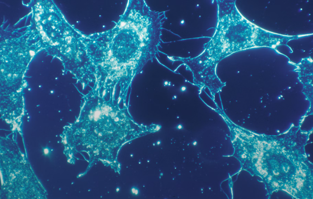 Ilustrasi pengertian Kemosintesis dan prosesnya. Sumber: Unsplash/National Cancer Institute