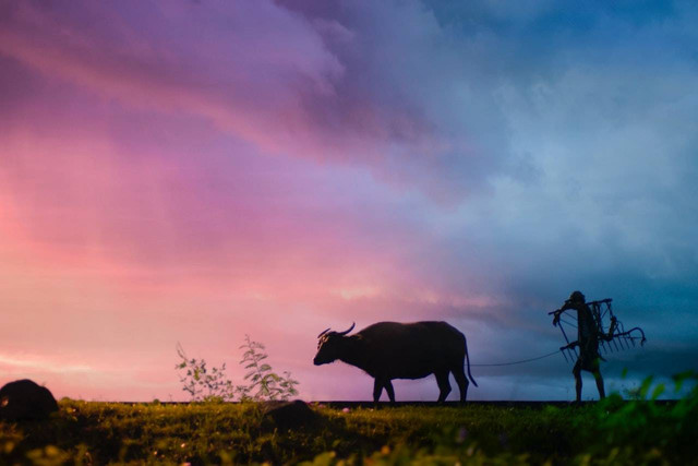 Ilustrasi masa bercocok tanam. Sumber foto: Pexels