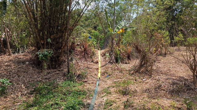 Warga menunjukkan sumur yang digunakan untuk pam dusun untuk mengatasi kekeringan dengan ngeleb (membasahi daratan) di sekitar sumur dengan air dari Kali Progo, Selasa (3/10/2023). Foto: Arfiansyah Panji Purnandaru/kumparan