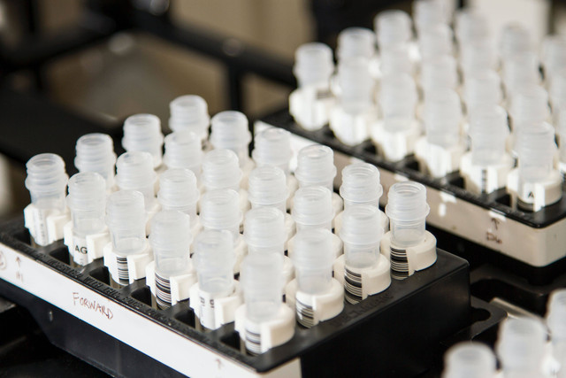 Ilustrasi dampak bioteknologi modern. Sumber: Unsplash/National Cancer Institute