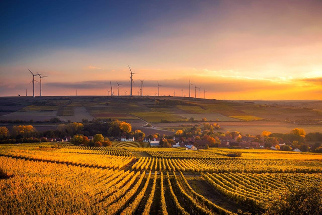 Ilustrasi Desa Tegalluar. Foto: Pexels