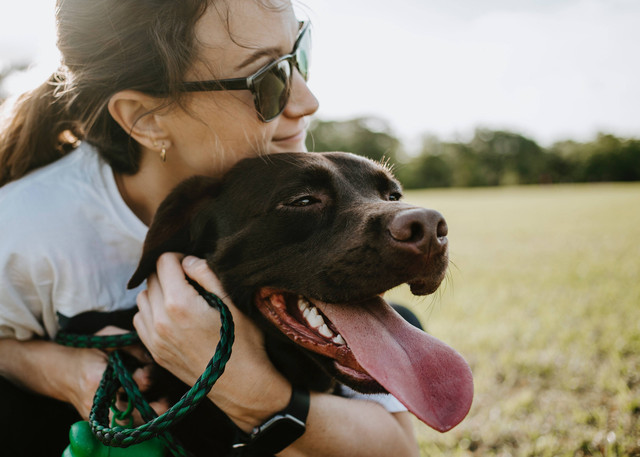 Ilustrasi anjing dan manusia. Foto: Unsplash