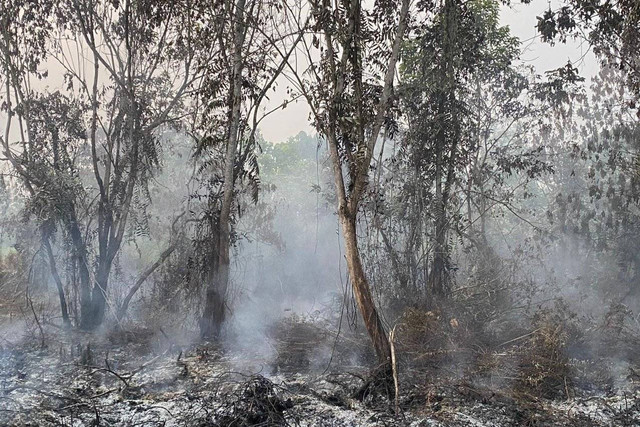 Karhutla di Kecamatan Tambang, Kabupaten Kampar, Riau. Foto: Dok. Istimewa