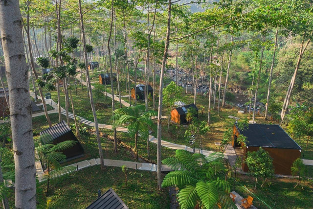 Suasana Bobocabin The Tavia Puncak. Foto: Dok. Bobocabin