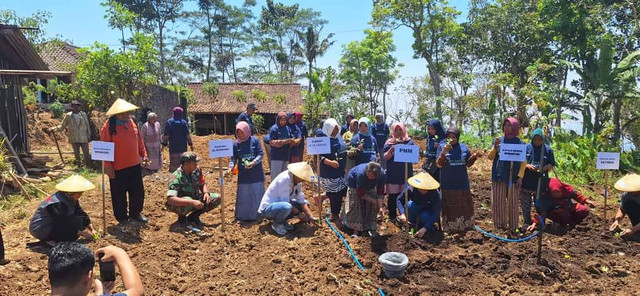PNM beri 10 ribu bibit unggul untuk petani.