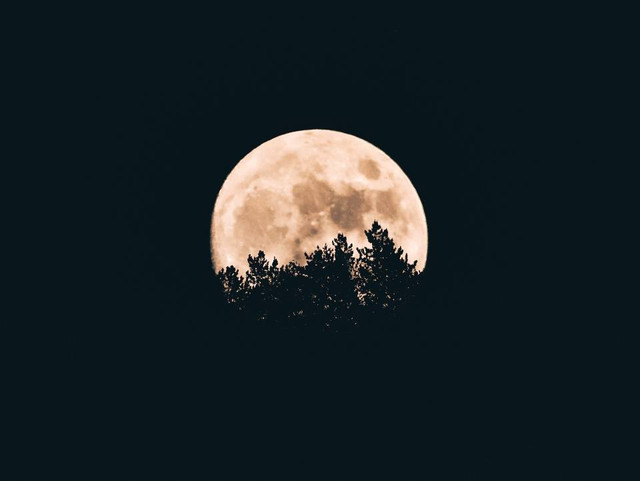 Quotes Malam Minggu Bahasa Inggris. Foto hanya ilustrasi. Sumber: Unsplash.com/Aron Visuals