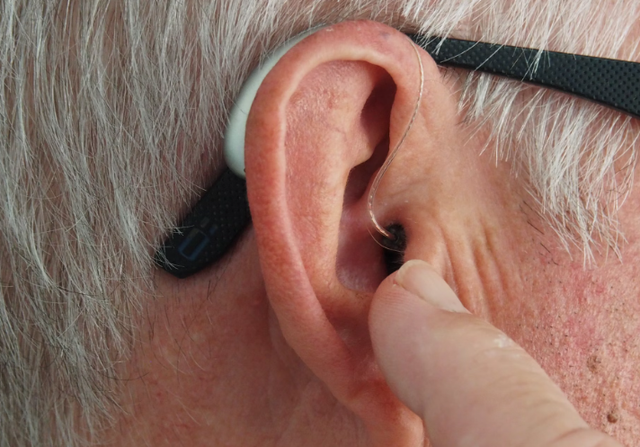 Anatomi Telinga Luar. Sumber: Unsplash/Mark Paton