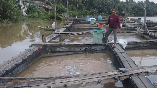 Zainal sukses melakukan budidaya ikan air tawar dengan keramba apung. Foto: M. Zain/Hi!Pontianak