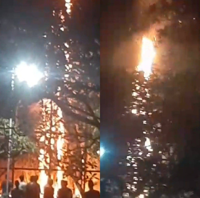 Pohon randu alas tua di tengah makam di Pleret, Bantul, terbakar. Foto: Dok. Istimewa