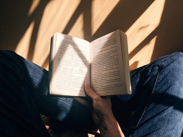 Ilustrasi Memahami Isi Teks Dilakukan dengan Cara. Foto: Unsplash/Blaz Photo