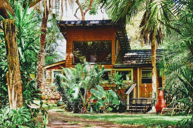 Ilustrasi Tanaman Pagar yang Cepat Tumbuh. Foto: dok. Unsplash/Tim Gouw