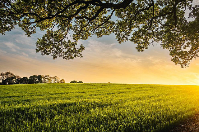 Ilustrasi obelix village. Sumber: www.unsplash.com