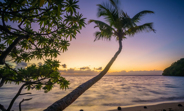 Ilustrasi Pantai Bidara. Sumber: Unsplash/Jasper Boer