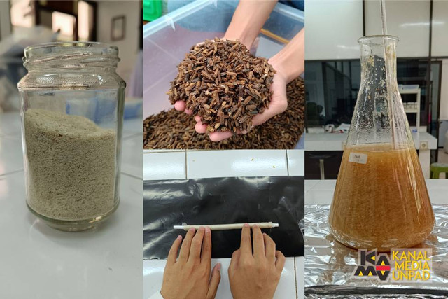 Mahasiswa Unpad Buat Sedotan Ramah Lingkungan dari Kulit Larva Lalat. Foto: UNPAD
