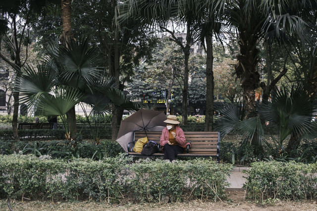Taman kota di Jakarta, foto hanya ilustrasi: Pexels/Quý Nguyễn