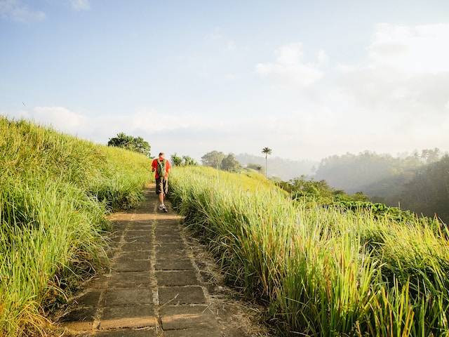 Ilustrasi harga tiket masuk Campuhan Ridge Walk. Sumber: Unsplash/ bckfwd.
