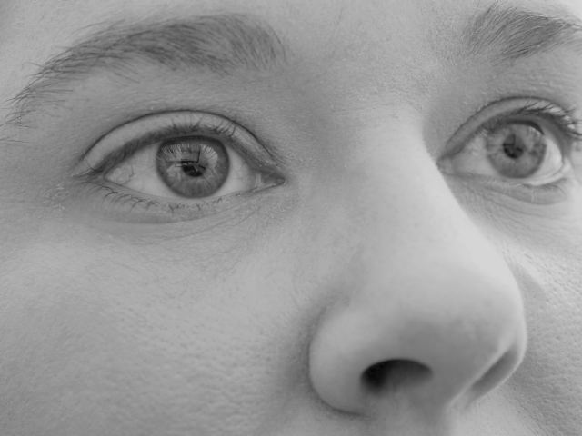 Ilustrasi saraf penciuman yang terdapat pada hidung adalah. Sumber foto: pixabay/tookapic
