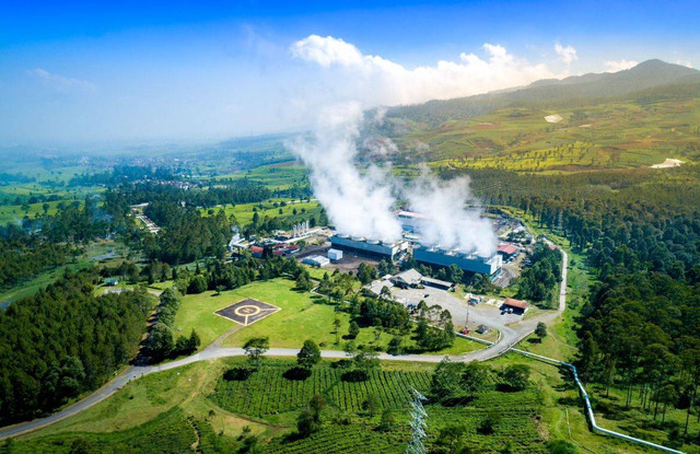 Ilustrasi lingkungan. Foto: Shutterstock