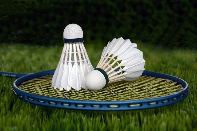 Ilustrasi jelaskan cara melakukan pukulan forehand permainan bulu tangkis - Sumber: pixabay.com/anncapictures