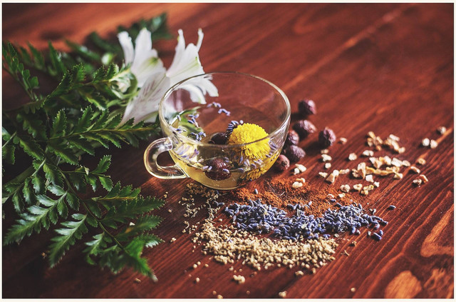 Ilustrasi manfaat daun legundi. Foto: Unsplash