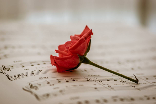Ilustrasi apa saja yang termasuk interval murni nada dalam musik?. Sumber: Pixabay/Ri_Ya