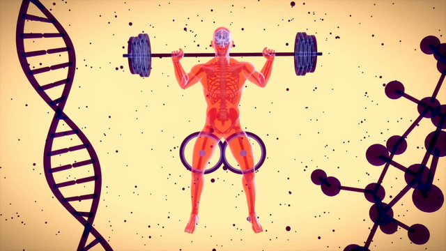 Ilustrasi Kunci Jawaban IPA Kelas 9 Halaman 159 Bagian B. Sumber: Unsplash/julien Tromeur