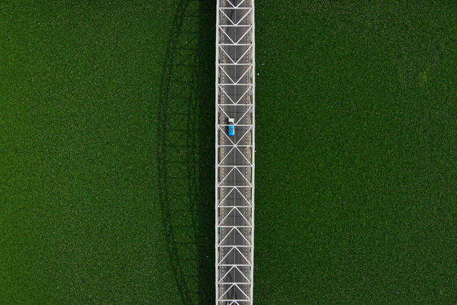 Foto udara kondisi Sungai Bengawan Solo yang dipenuhi eceng gondok di Bojonegoro, Jawa Timur, Rabu (25/10/2023). Foto: Muhammad Mada/ANTARA FOTO