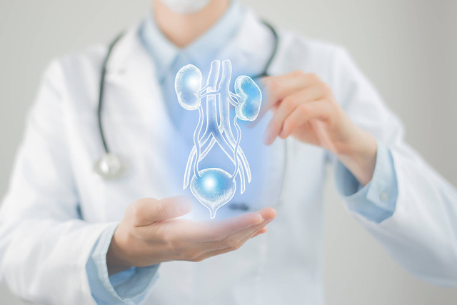 Ilustrasi Infeksi Saluran Kemih (ISK). Foto: Shutterstock