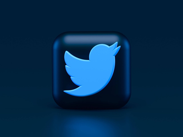  Cara Unprivate Twitter, Unsplash/ Alexander Shatov