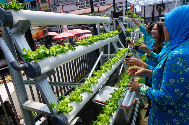 BRI Peduli Bertani di Kota (BRInita) bantu warga di Kelurahan Gurabesi, Kota Jayapura, bertani di lahan sempit. Dok BRI