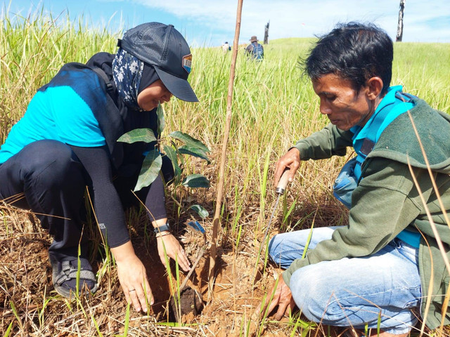 Saat melakukan kegiatan penanaman pohon di di Bukit Merindu kilometer 8, Dusun Pematang Baros, Desa Riam Berasap Jaya, Kabupaten Kayong Utara, pada Rabu (25/10/2023). (Foto : Samad/SL-YP).