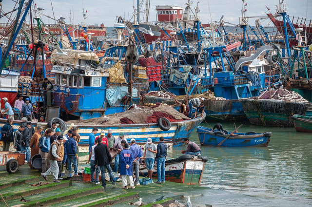 Ilustrasi contoh kegiatan ekonomi maritim. Sumber: pexels.com/Piotr Arnoldes