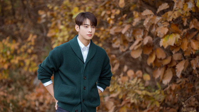 Aktor Korea Selatan Cha Eun Woo dalam berbagai drama.
Foto: Dok. Viu
