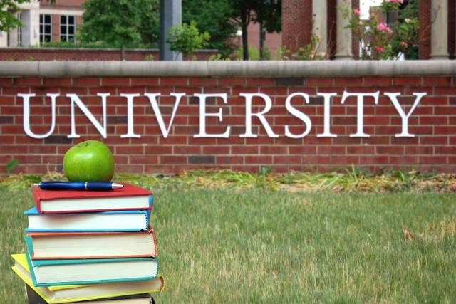 ilustrasi Web untuk Mencari Jurnal. Foto: shutterstock.com. 