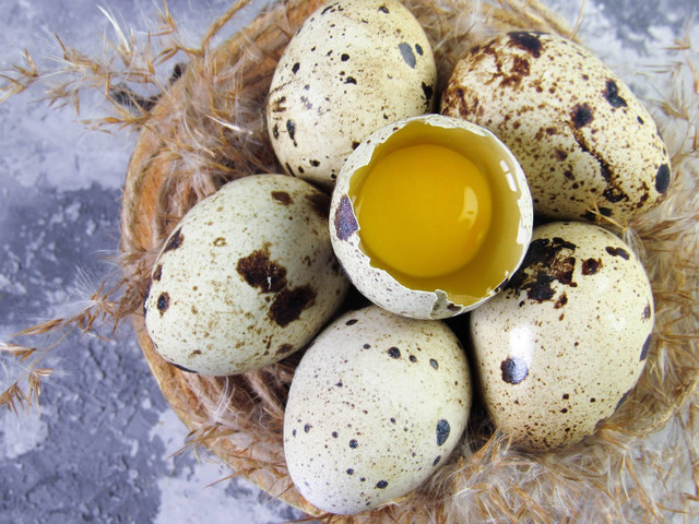 Ilustrasi telur puyuh. Sumber foto: Unsplash