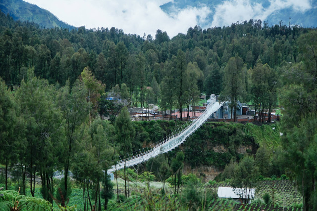 Jembatan kaca di Seruni Point Bromo. Foto: Shutterstock