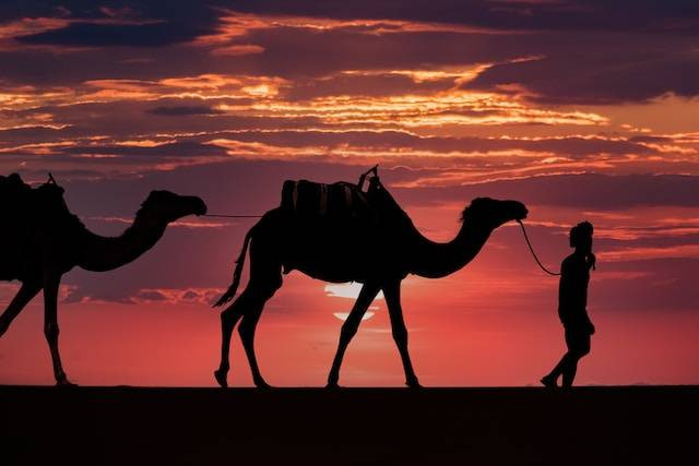 Ilustrasi Tiga Tugas Manusia sebagai Khalifah di Bumi Ini Foto: dok. Unsplash/Mehdi El marouazi